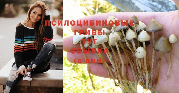 молекула духа Мегион