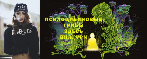 молекула духа Мегион