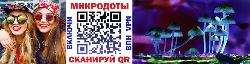omg сайт  цены   Шимановск  Галлюциногенные грибы прущие грибы 